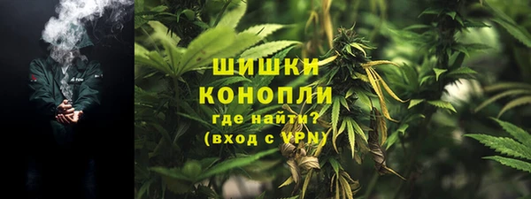 apvp Богородск