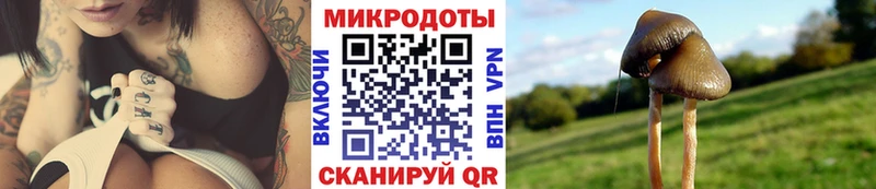 Галлюциногенные грибы Cubensis  Купить закладки  Полысаево 